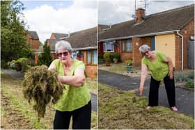Anne Harris with a nightmare pile of grass (Photo: Leila Coker)