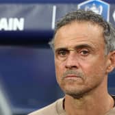 Paris Saint-Germain's coach Luis Enrique