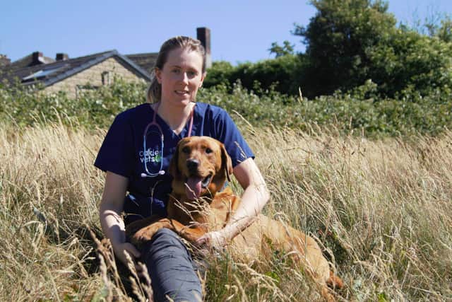 Calder Vets is backing a drive to raise awareness of diabetes in pets.