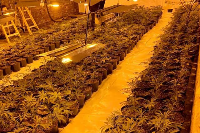 Cannabis farm discovered by police officers in Batley town centre (Picture West Yorkshire Police)