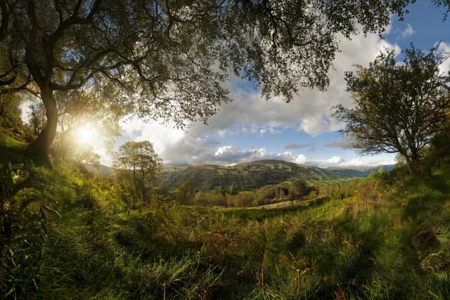 Photographer Andrew Brooks captured this scene at Dyffryn Crawnon in the Brecon Beacons.