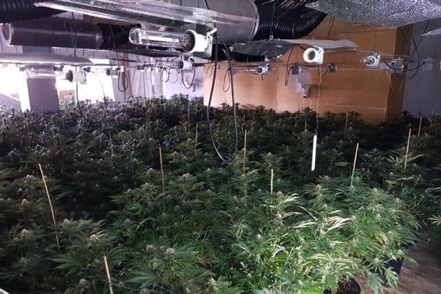 Cannabis plants found in a Dewsbury building by West Yorkshire Police