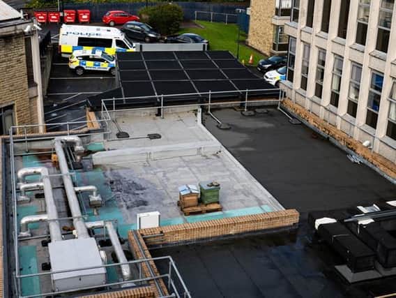 Bees on the roof of Dewsbury police station