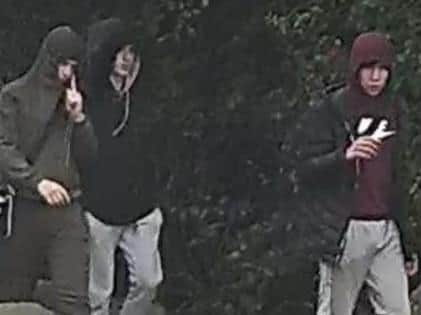 Police want to speak to these men in connection with the arson attack at Ponderosa zoo
