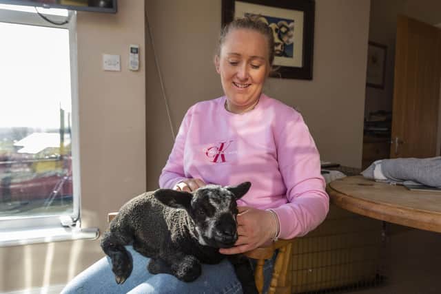 Ruby Clough Wool ewe be my family? Orphaned lamb Brian finds a new home