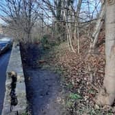 The pathway in Dewsbury after the work carried out by Kirklees Council