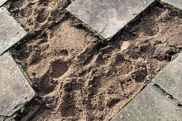 The vandals stole around 40 historic paving stones from the churchyard.