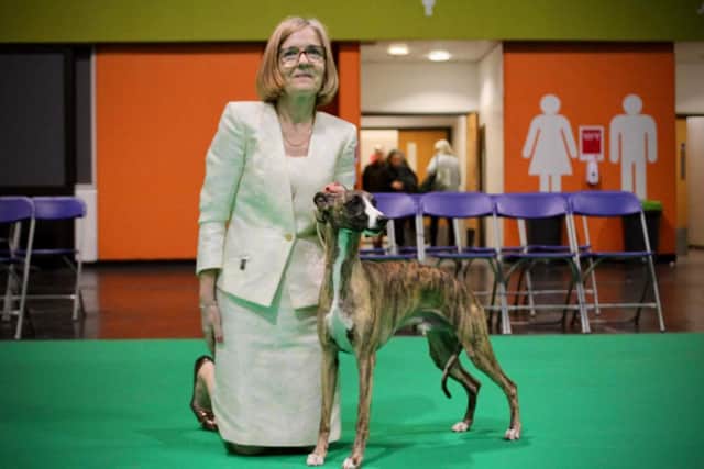 Gaynor Pilkington pictured with her Whippet Austin.