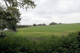 The farmland near Cleckheaton that has been earmarked for a 'monstrous' warehouse for online giant Amazon