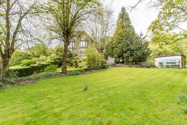 Extensive mature gardens with lawns, trees and shrubs