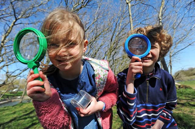Wildlife Watch: We are all being encouraged to take part in Yorkshire Wildlife Trust‘s Great Yorkshire Creature Count.