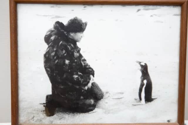 One of David’s fond memories was spending 48 hours with a penguin colony a week after the war ended.