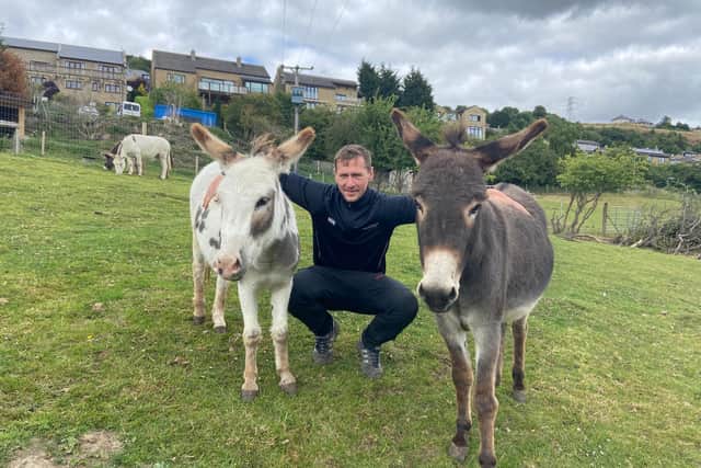 Josh with donkeys Leonard and Catherine.