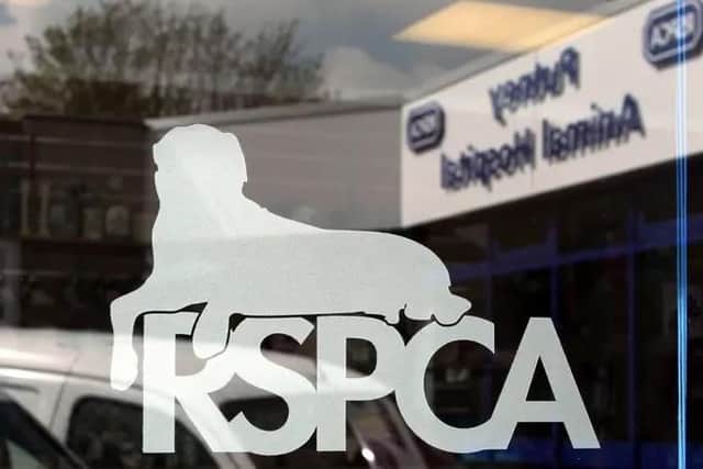 More than 1,500 calls warning of deliberate animal cruelty in West Yorkshire have been made to RSPCA helplines over the last three years.