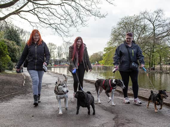Gail Goor and Carrie Senior, with Meddie, who have set up a dog walking group for the protection of owners and pets, pictured at Wilton Park, Batley
