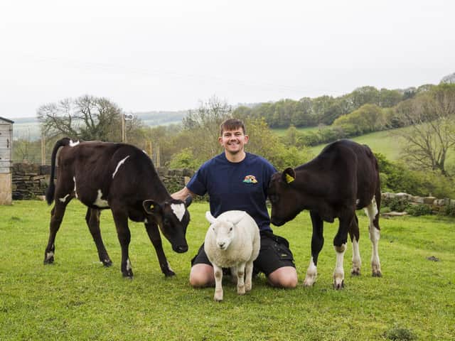 Jake Ratcliffe with calves Ernie, left, Albert, right, and lamb Chester at Millington's Magical Barn, Thornhill.