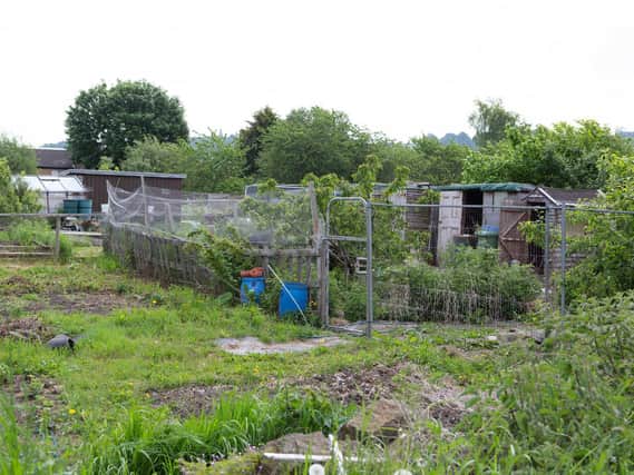 Allotment plots off Lees Hall Road, close to nearby Ravenshall School, are being taken to create access for a major new housing plan