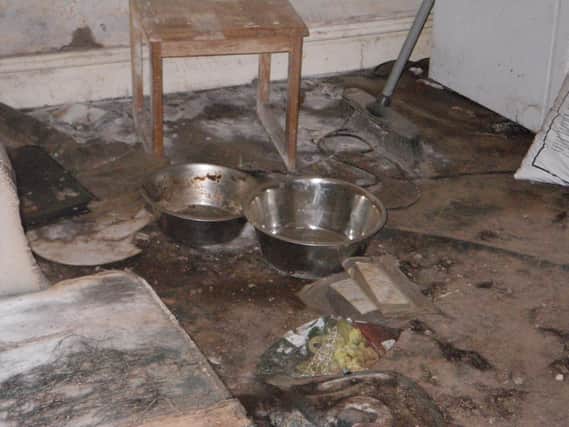 The basement of a property on Calder Road, Dewsbury, where Steven Hartley left his pet rottweiler to starve to death after he moved out