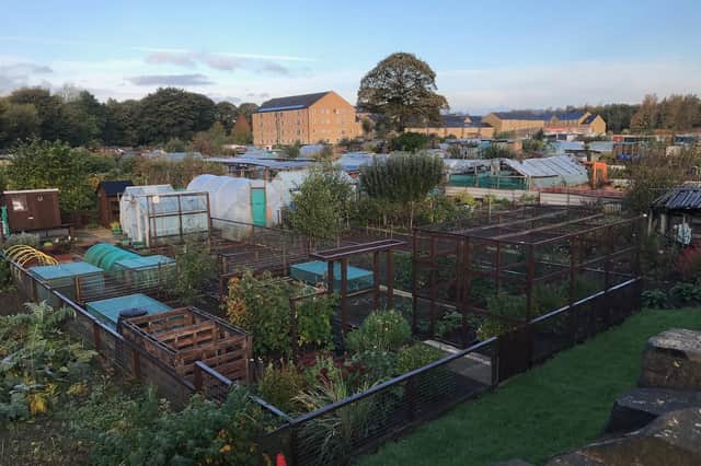 The Lowlands allotments site off Hopton New Road, Mirfield