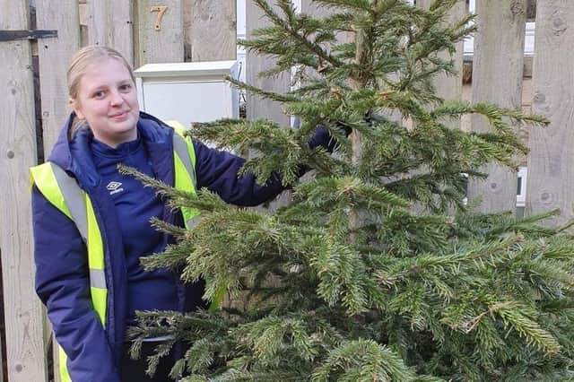 Forget Me Not Children's Hospice is running its real Christmas tree collection service for a fourth year