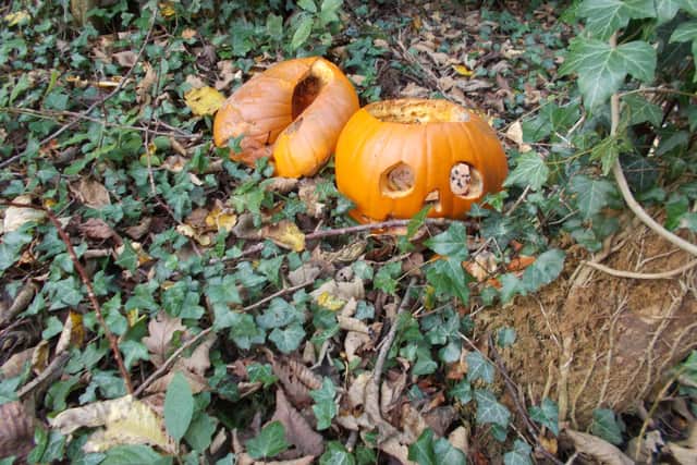 The pumpkin problem seems to be starting earlier and earlier, with supermarkets flooded with cheap pumpkins for sale and pumpkin-picking growing in popularity as a family activity.