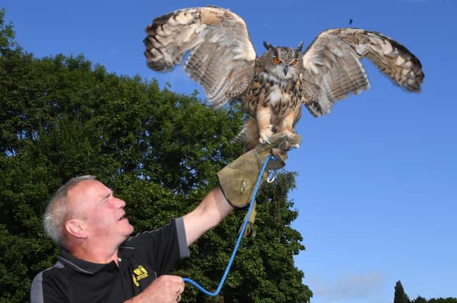 Wayne Auty of Wise Bird of Prey with 10 year old Willow the Eagle Owl