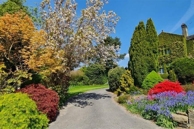 Colourful foliage is abundant in and around the lawned gardens and driveway.