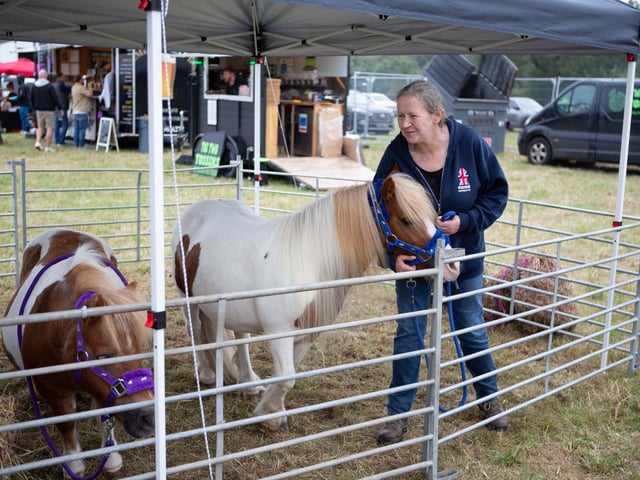There were animal activities for people to enjoy.
