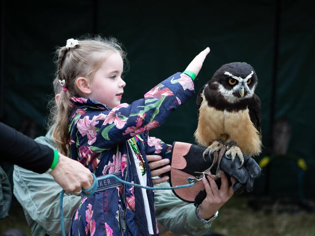 Elsie with a South American Specticled Owl at Mirfield Farm Fest.
