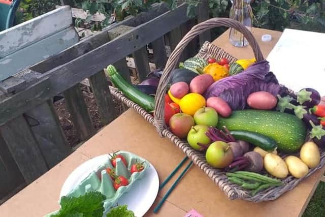 Produce from a Mirfield allotment plot holder.