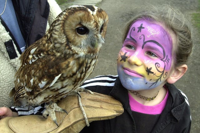 Six year-old Bethany Fisher of Birstall, getting a close look at Gizmo the Tawny Owl from Ponderosa, Heckmondwike, at the Family Half Term Activity Day at Oakwell Hall, Birstall, in February 2000