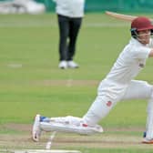 Brad Schmulian led the way with a century for Woodlands in their National Cup game.