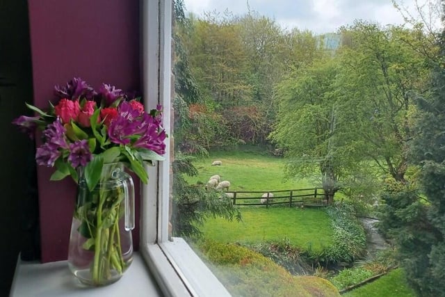 A lovely pastoral scene viewed from a window in the house.