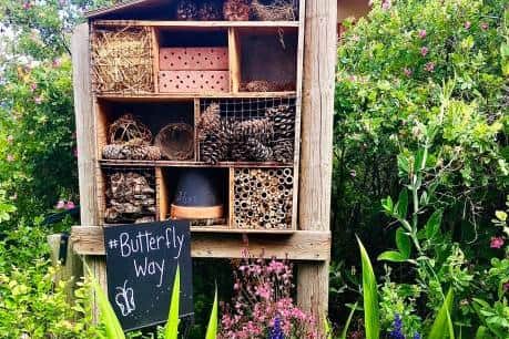 Creating a bee hotel or growing wildflowers could earn gardeners a wildlife award.
