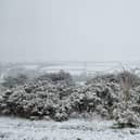 Take a look at these great photos of the snow which has hit Dewsbury, Mirfield, Batley and Spen.