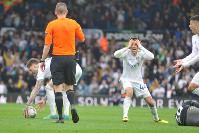 Leeds United's Ilia Gruev is exasperated by a decison made by referee Matthew Donohoe, who was booed off by home fans at the end of both halves for his handling of the Championship fixture with Southampton.