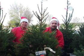 Staff at Mirfield Garden Centre are spreading some festive cheer with their ‘great value’ Christmas trees.