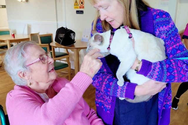 Vicar Sally brings Zara the cat to meet residents