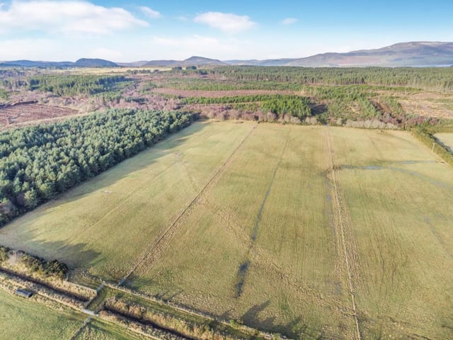 Croft land.