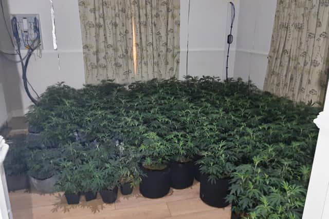 Officers from Batley and Spen Neighbourhood Policing Team attended an address in the Liversedge area yesterday (Tuesday) and discovered a cannabis farm had been operating within.
