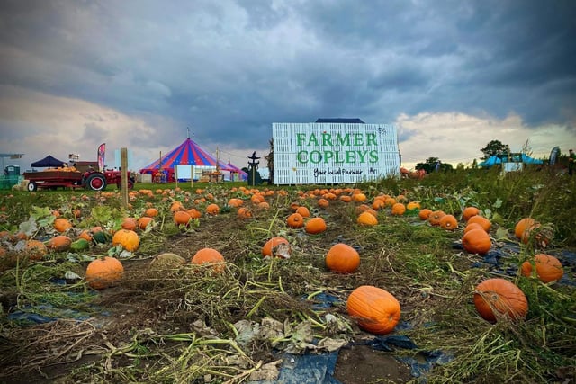Where: Ravensknowle Farm, Pontefract Road, Pontefract WF7 5AF. 
Named the most Instagrammable pumpkin patch by Parkdean Resorts, Farmer Copley's is always in high demand. Farmer Copley's grows more than 30 different varieties and have plenty of entertainment, refreshments and more throughout October.
The pumpkin festival is on from October 1 until October 31.
Tickets cost £5 per person and children under the age of 3 are free. Pumpkins can be purchased at an additional cost.