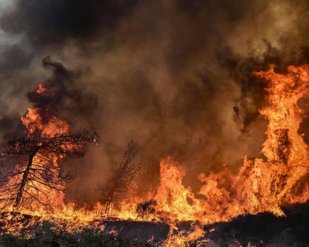 Wildfire in the southern part of the Greek island of Rhodes, on July 25. Photo: Getty Images