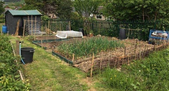 Allotment holders are facing a rise in their fees