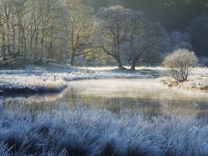 Frosty morning