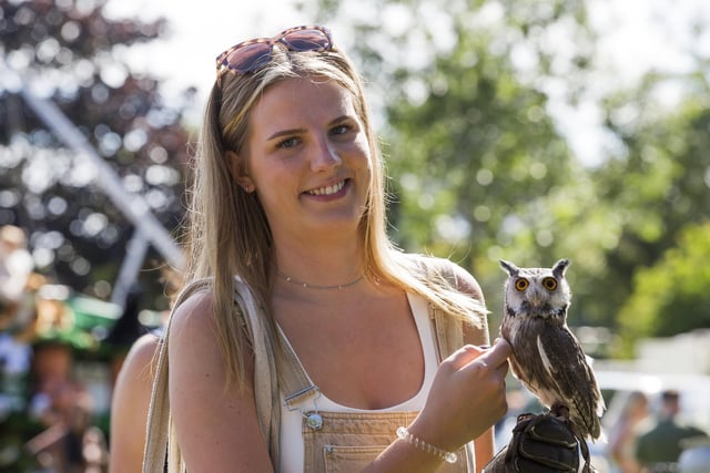 Amy Taylor with a Southern white-faced owl Gizmo