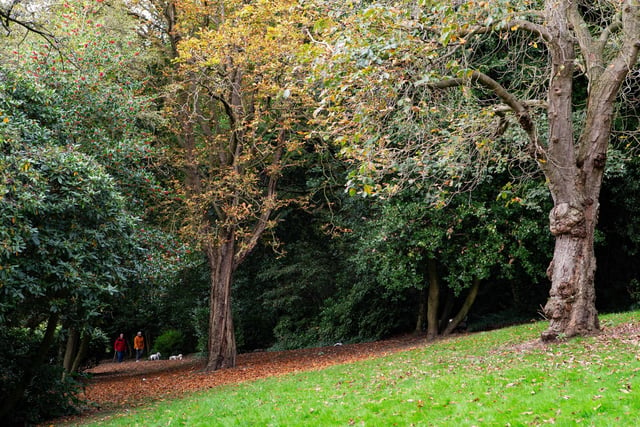 Early autumnal views around Wilton Park