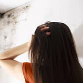 If your landlord is responsible for the damp in your home but doesn’t do anything, there are steps you can take, like reporting them to the local authority. Photo: AdobeStock