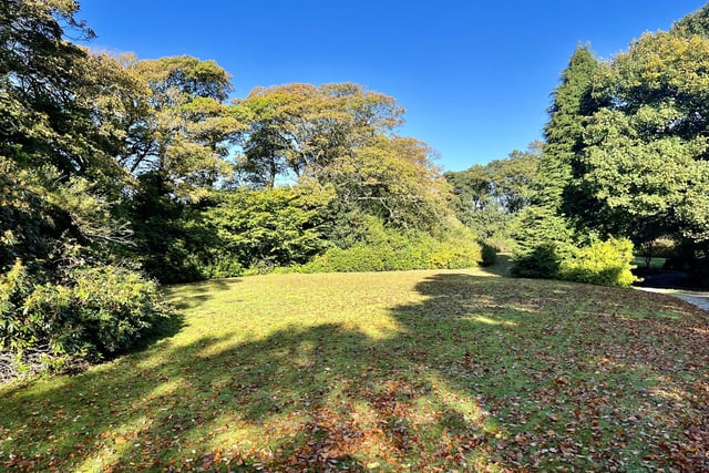Gardens spread around the house and beyond, with tree-lined borders and a terrace to the front of the morning room. An enclosed south facing rear garden offers privacy, with a protected woodland backdrop.