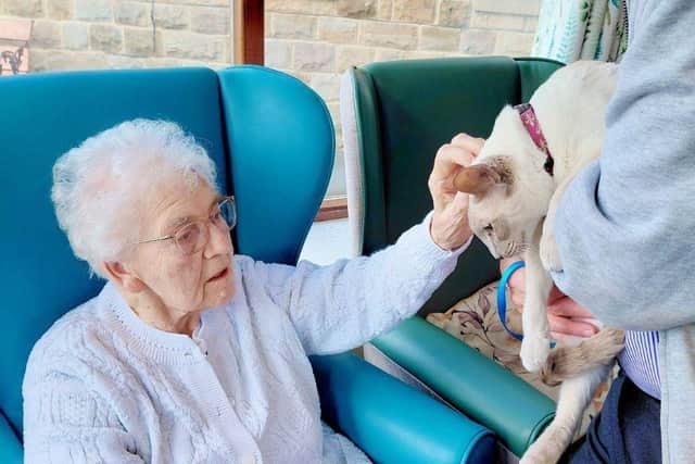 Zara gets a fuss from residents