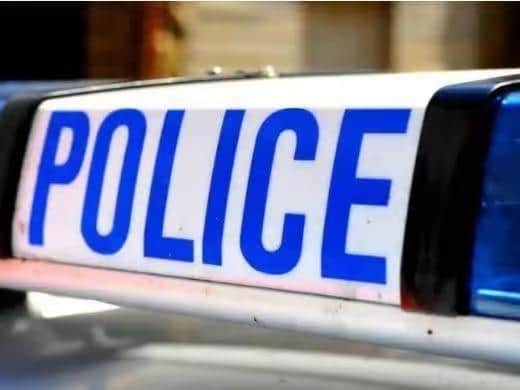 Detectives have launched an appeal for witnesses and mobile phone footage after two police officers were assaulted while attempting to make an arrest